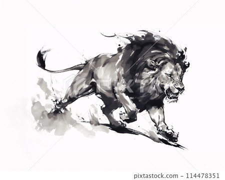 Lion ink painting 114478351