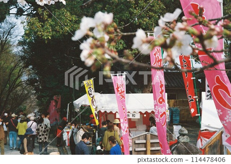 櫻花觀賞者 114478406