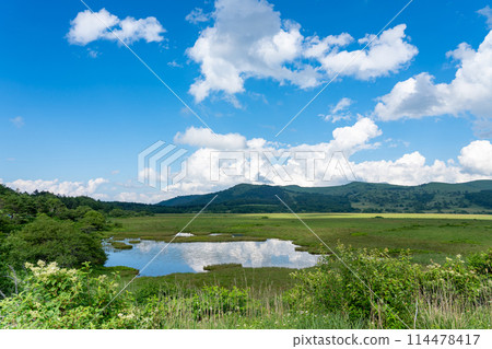 Yashimagaike Pond in the Yashimagahara Marshlands in summer, Shimo-Suwa Town, Nagano Prefecture Yashimagaike Pond in the Yashimagahara Marshlands in summer, Shimo-Suwa Town, Nagano Prefecture 114478417