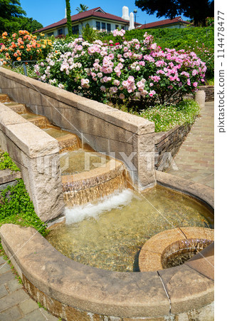 （神奈川縣）美麗的玫瑰盛開 - Port View Hill Park 114478477