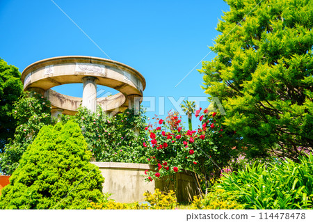 （神奈川縣）美麗的玫瑰盛開 - Port View Hill Park 114478478