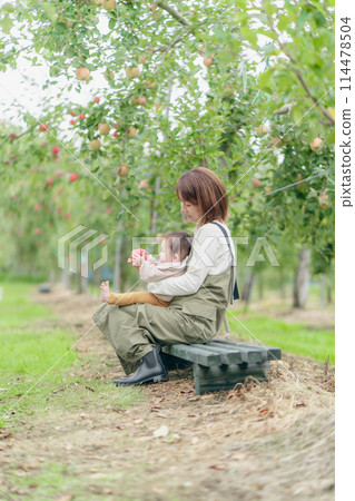 Apple picking family Apple picking family 114478504