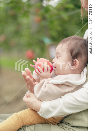 蘋果採摘家庭 114478510