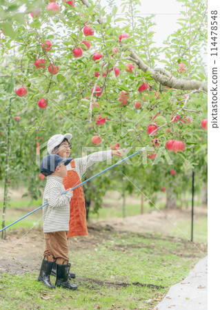Apple picking family 114478548