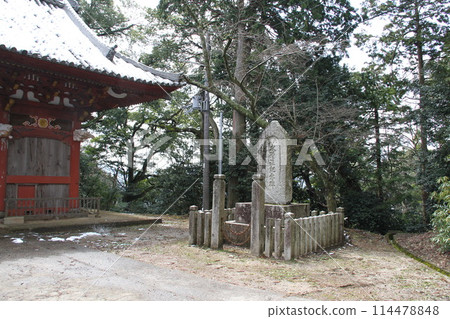 Spring scenery of Amanohashidate, Kyoto, one of the Three Most Scenic Spots of Japan 114478848