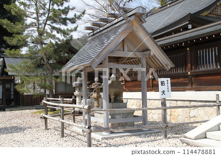 日本三大風景之一的京都天橋立的春天景色 114478881