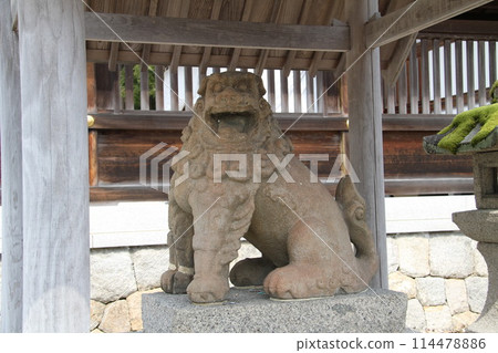 日本三大風景之一的京都天橋立的春天景色 日本三大風景之一的京都天橋立的春天景色 114478886
