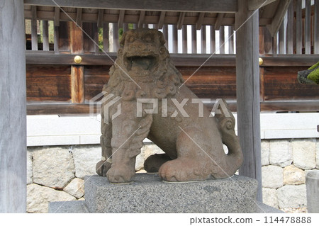 日本三大風景之一的京都天橋立的春天景色 日本三大風景之一的京都天橋立的春天景色 114478888