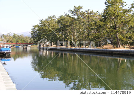 Spring scenery of Amanohashidate, Kyoto, one of the Three Most Scenic Spots of Japan 114478919