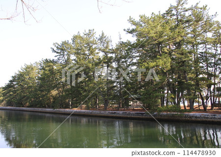 日本三大風景之一的京都天橋立的春天景色 114478930