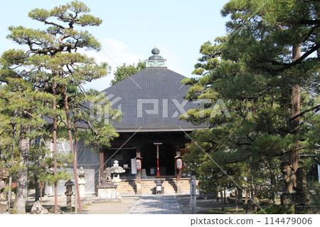 日本三大風景之一的京都天橋立的春天景色 114479006