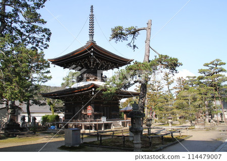 Spring scenery of Amanohashidate, Kyoto, one of the Three Most Scenic Spots of Japan Spring scenery of Amanohashidate, Kyoto, one of the Three Most Scenic Spots of Japan 114479007
