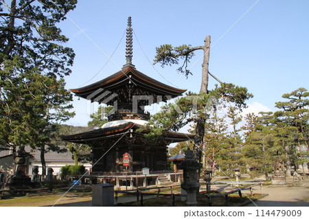 Spring scenery of Amanohashidate, Kyoto, one of the Three Most Scenic Spots of Japan Spring scenery of Amanohashidate, Kyoto, one of the Three Most Scenic Spots of Japan 114479009