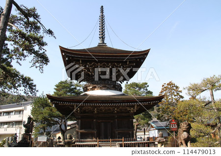 日本三大風景之一的京都天橋立的春天景色 114479013