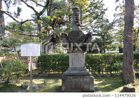 Spring scenery of Amanohashidate, Kyoto, one of the Three Most Scenic Spots of Japan Spring scenery of Amanohashidate, Kyoto, one of the Three Most Scenic Spots of Japan 114479026