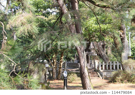 日本三大風景之一的京都天橋立的春天景色 日本三大風景之一的京都天橋立的春天景色 114479084
