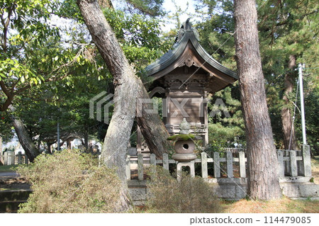 日本三大風景之一的京都天橋立的春天景色 日本三大風景之一的京都天橋立的春天景色 114479085
