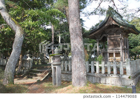 日本三大風景之一的京都天橋立的春天景色 114479088