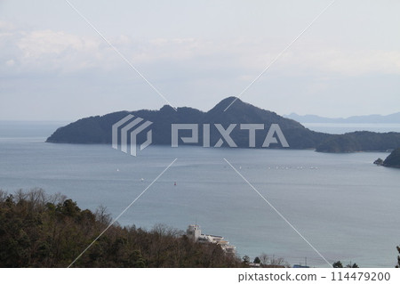 日本三大風景之一的京都天橋立的春天景色 114479200