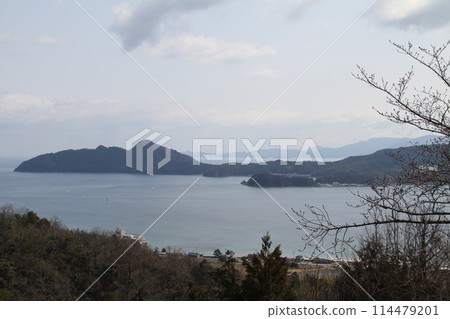 Spring scenery of Amanohashidate, Kyoto, one of the Three Most Scenic Spots of Japan Spring scenery of Amanohashidate, Kyoto, one of the Three Most Scenic Spots of Japan 114479201
