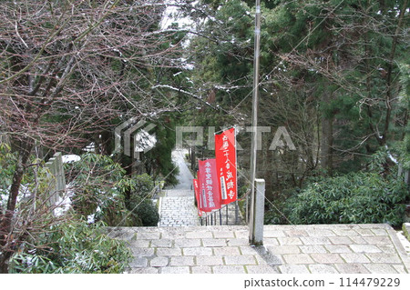 日本三大風景之一的京都天橋立的春天景色 114479229
