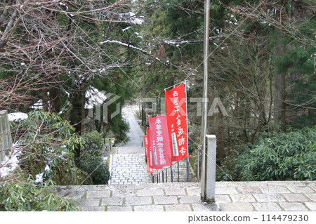 日本三大風景之一的京都天橋立的春天景色 114479230