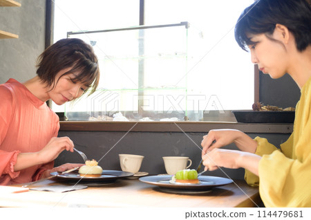 兩個女人在咖啡館吃蛋糕 兩個女人在咖啡館吃蛋糕 114479681