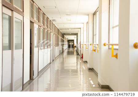School hallway School hallway 114479719