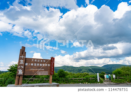 長野縣下諏訪町:夏季,人們徒步穿越屋島濕地 長野縣下諏訪町:夏季,人們徒步穿越屋島濕地 114479731
