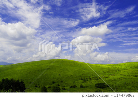 平緩的山丘與夏日的天空 平緩的山丘與夏日的天空 114479862