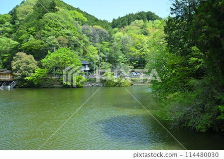 Lake Kamokita - Spring scenery with fresh greenery on the lakeside 114480030