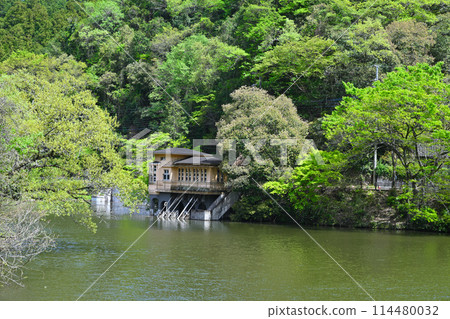 Lake Kamokita - Spring scenery with fresh greenery on the lakeside Lake Kamokita - Spring scenery with fresh greenery on the lakeside 114480032