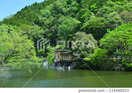 鐮北湖,新綠的湖畔,春天的景色 鐮北湖,新綠的湖畔,春天的景色 114480033
