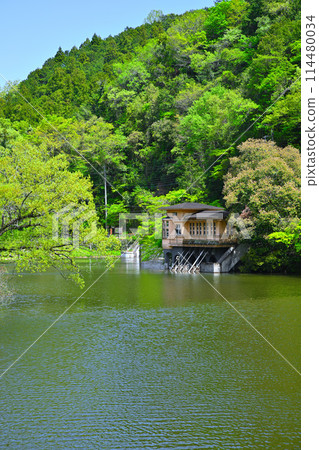 鐮北湖,新綠的湖畔,春天的景色 鐮北湖,新綠的湖畔,春天的景色 114480034
