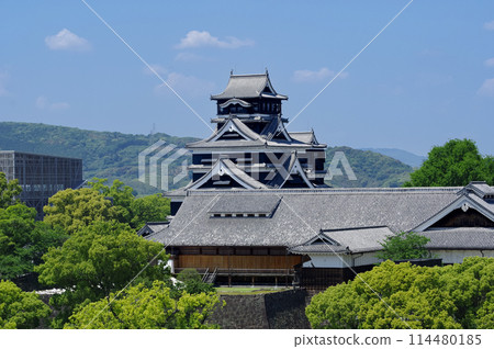 Kumamoto Castle  114480185