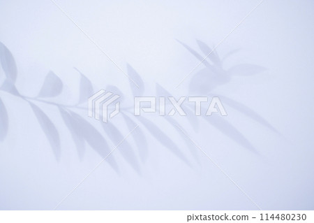 樹葉影子背景素材夏天圖片 114480230