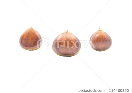 Chestnuts [Obuse chestnuts from Nagano Prefecture] No shadow 114480290