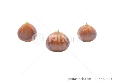 Chestnuts [Obuse chestnuts from Nagano Prefecture] No shadow 114480293