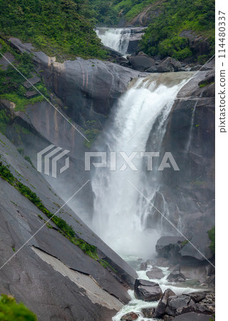 Roaring Chihiro Falls in the rainy season, Yakushima National Park (Summer) 114480337
