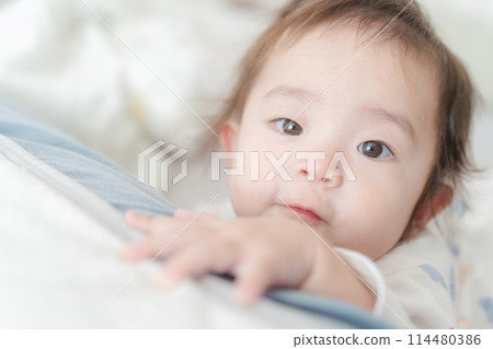 Waking up Nap Baby 114480386
