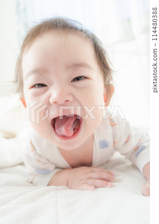 Waking up Nap Baby 114480388