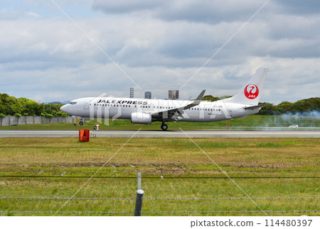 JAL737-800 Itami approach JAL737-800 Itami approach 114480397