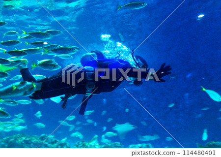 為海事人員提供食物 為海事人員提供食物 114480401