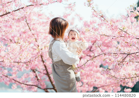 河津櫻父母與孩子的微笑 114480820