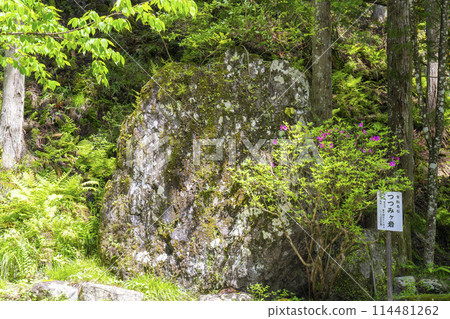 Kibune Nameishi Tsutsumigaiwa Rock 114481262