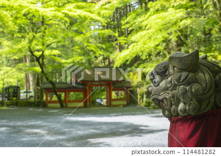 綠樹環繞的貴船神社奧宮新門院內 114481282