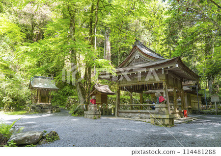 貴船神社奧宮、參拜殿和正殿,周圍綠意盎然 貴船神社奧宮、參拜殿和正殿,周圍綠意盎然 114481288