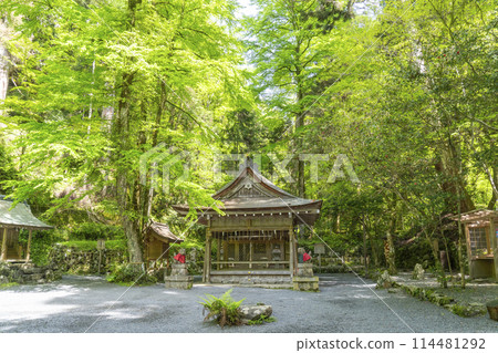 Kifune Shrine Okumiya: The worship hall and main hall, surrounded by fresh greenery 114481292