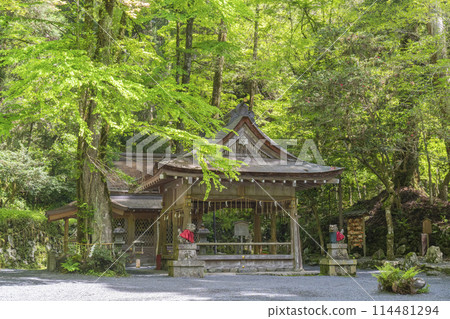 貴船神社奧宮、參拜殿和正殿，周圍綠意盎然 114481294