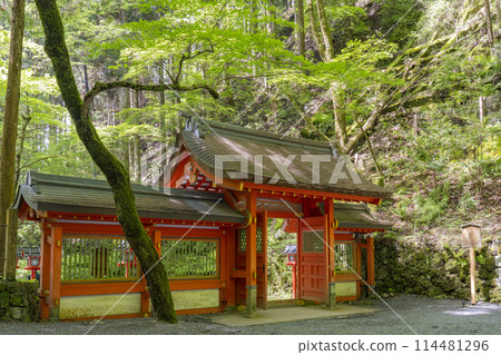 綠樹環繞的貴船神社奧宮新門院內 綠樹環繞的貴船神社奧宮新門院內 114481296